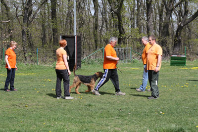 Hundersportverein Blankenburg Basisausbildung