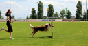 Länderwettkampf 25. Mai 2014 in Blankenburg