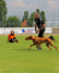 Länderwettkampf 25. Mai 2014 in Blankenburg